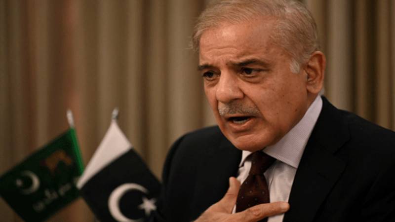 وزیراعظم شہباز شریف کی صحت کے نظام کو جدید خطوط پر استوار کرنے کی ہدایت