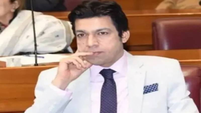 چوری، بدمعاشی، غنڈا گردی اس ملک کا وتیرہ ہے، فیصل واؤڈا