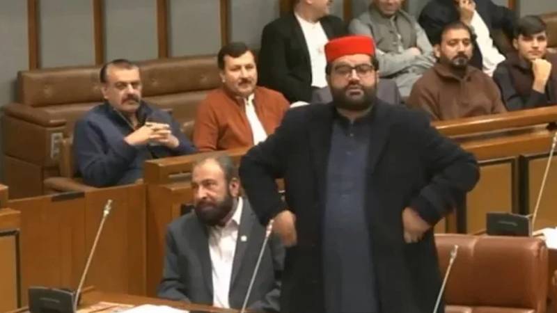 جتنا ہم بولتے ہیں اس سے تو ہم ہی پیکا کا پہلا نشانہ بنیں گے: ایمل ولی خان