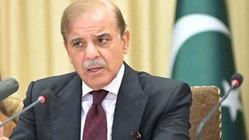 پاکستان اور چین کے درمیان دوستی کا رشتہ مزید مستحکم ہو رہا ہے: وزیراعظم شہباز شریف