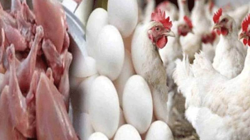 لاہور میں برائلر مرغی کے گوشت کی قیمت میں 4 روپے کی کمی