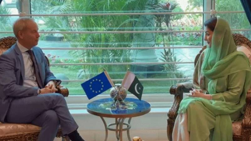 مریم نواز سے یورپی یونین کے خصوصی نمائندہ برائے انسانی حقوق اولوف سکوگ کی ملاقات