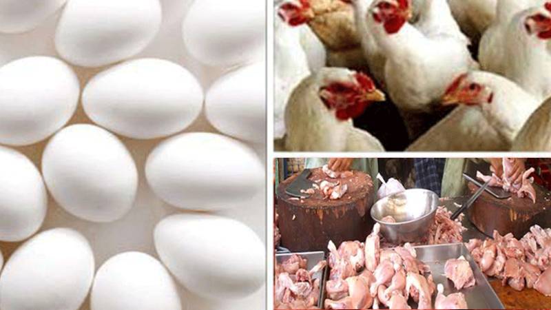 لاہور اور ملتان میں مرغی کے گوشت اور انڈوں کی قیمتوں میں کمی