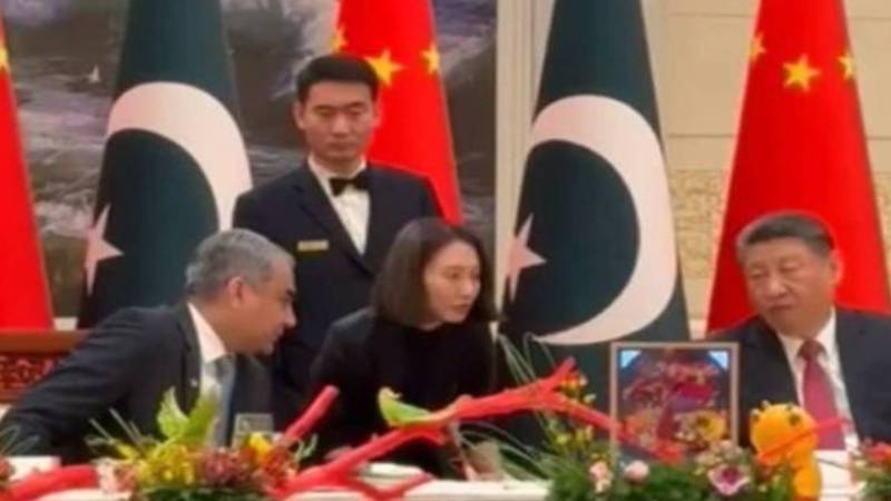 محسن نقوی کی بیجنگ میں صدر شی جن پنگ سے ملاقات، چینی شہریوں کی سیکیورٹی پر بریفنگ