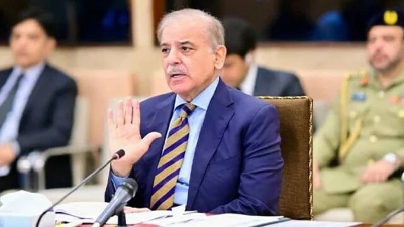 نجکاری کی خود نگرانی، کسی تعطل کی اجازت نہیں:وزیرِاعظم شہباز شریف