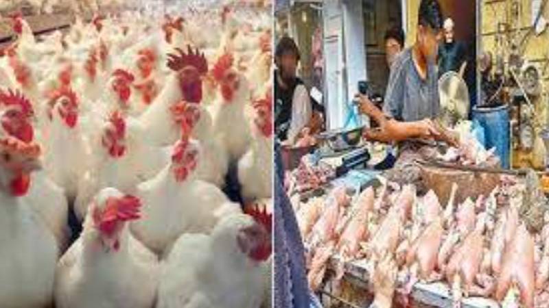 لاہور میں برائلر گوشت کی قیمت میں مزید اضافہ