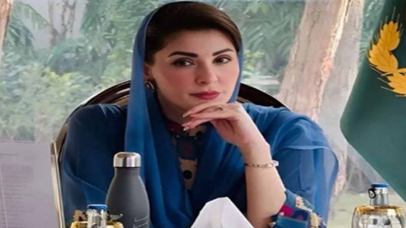 وزیراعلیٰ پنجاب کا تجاوزات مہم سے متاثرہ بے روزگار افراد کی بحالی کے لیے اہم اقدام