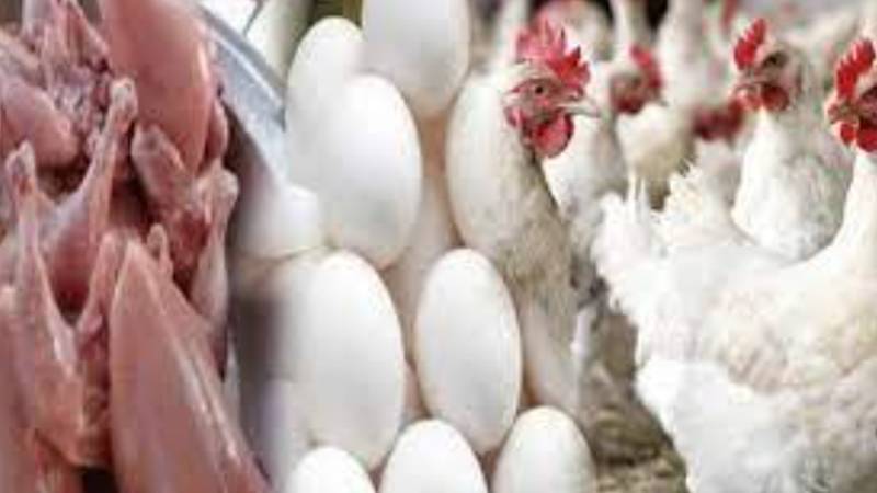 لاہور میں مرغی کا گوشت 14 روپے فی کلو مہنگا