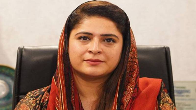سارہ احمد کی چیئرپرسن چائلڈ پروٹیکشن بیورو کے طور پر دوبارہ تقرری کی منظوری