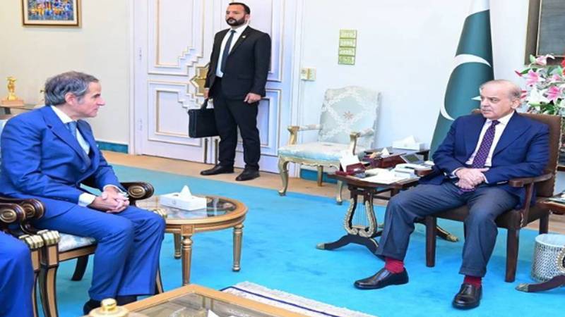 وزیراعظم کی IAEA کے ڈائریکٹر جنرل رافیل گروسی سے ملاقات