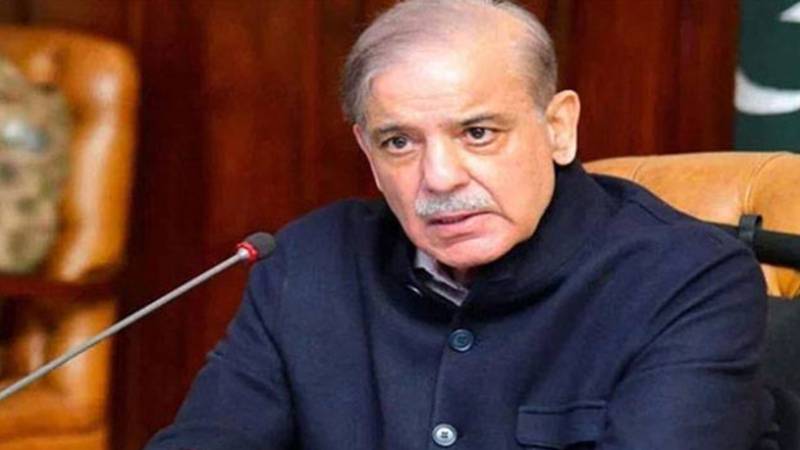 صدر اردوان کی قیادت میں پاک ترک تعلقات مزید مستحکم ہو رہے ہیں، شہباز شریف