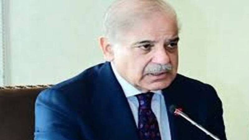 اقوام متحدہ کے ریزیڈنٹ کوآرڈینیٹر کی وزیراعظم پاکستان سے ملاقات
