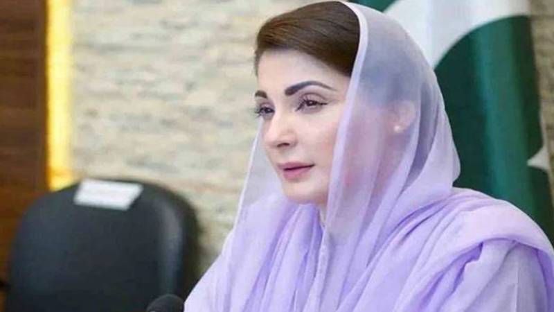 پنجاب کے سیاحتی حسن کو عالمی سطح پر متعارف کرائیں گے: مریم نواز
