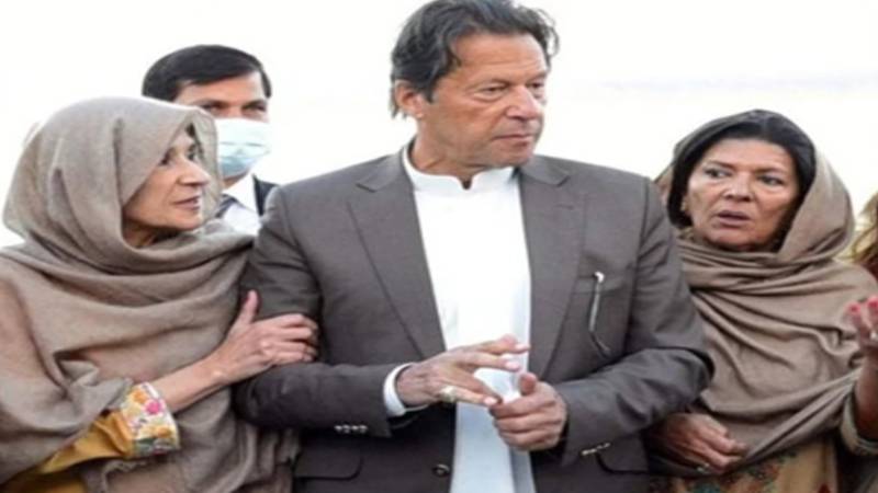 کوئی پارٹی میں آئے یا جائے فرق نہیں پڑتا، عمران خان ہی اہم ہیں، علیمہ خان