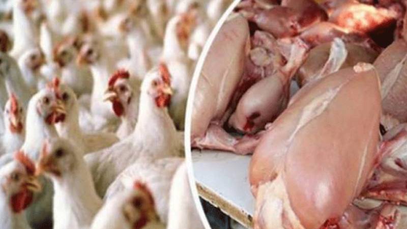 لاہور میں برائلر گوشت کی قیمت برقرار، انڈے مزید مہنگے