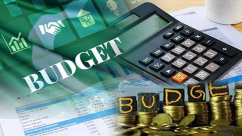 ایف پی سی سی آئی کی بجٹ 2025-26 کے لیے ٹیرف تجاویز وزارتِ تجارت کو ارسال