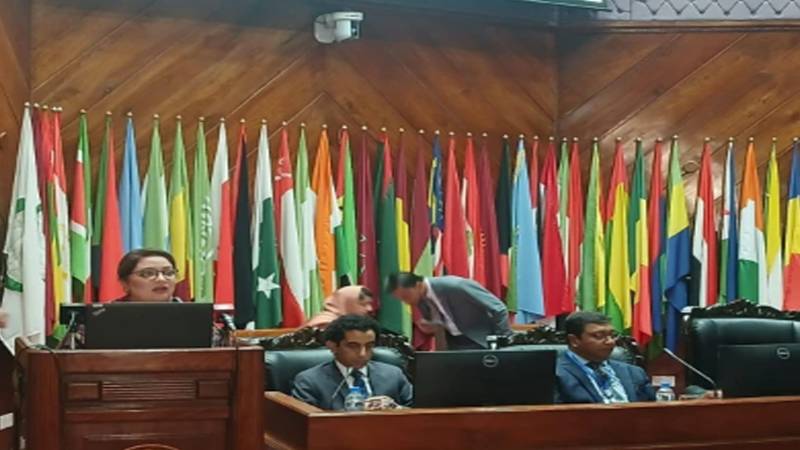 معاشی ترقی کے لیے واٹر سیکیورٹی ناگزیر، پانی کے مسئلے کا حل اجتماعی کوششوں سے ممکن ہے: رومینہ خورشید