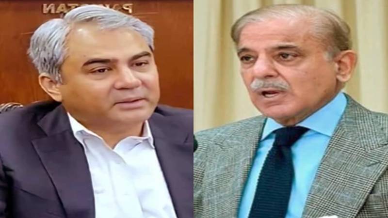 شہباز شریف اور محسن نقوی کے خلاف مقدمہ درج کرنے کی درخواست خارج