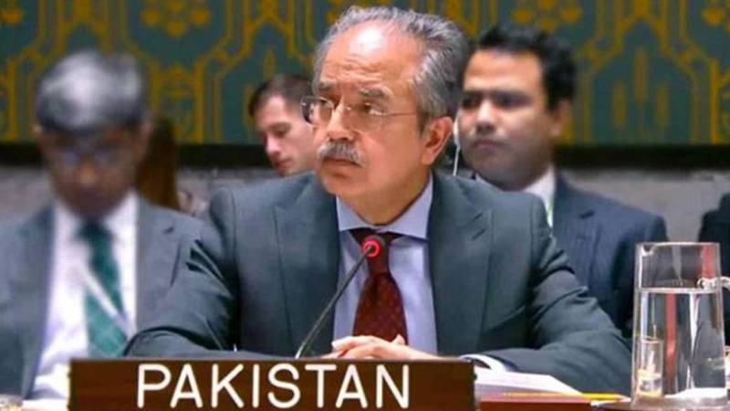 اقوام متحدہ میں پاکستان کا مؤقف: غزہ میں فوری جنگ بندی اور فلسطینی علاقوں میں پائیدار امن کی ترجیح
