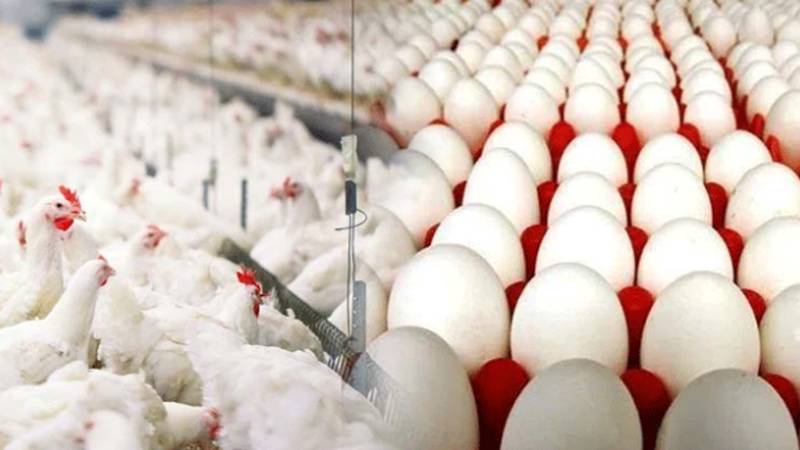 لاہور میں برائلر مرغی کی قیمت برقرار، انڈے 2 روپے مہنگے