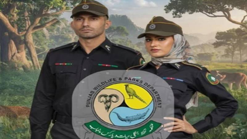 مریم نواز کا تاریخی فیصلہ، پنجاب وائلڈ لائف فورس میں پہلی بار خواتین کی شمولیت