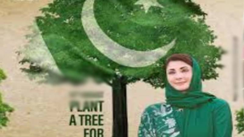 پنجاب میں 