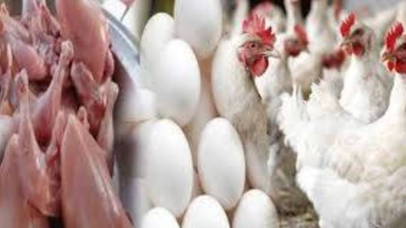 مرغی کی قیمتوں میں اتار چڑھاؤ، لاہور میں قیمت مستحکم