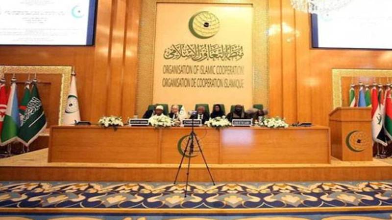 اسلامی تعاون تنظیم نے غزہ کی تعمیر نو کے لیے عرب منصوبے کی حمایت کا اعلان کر دیا