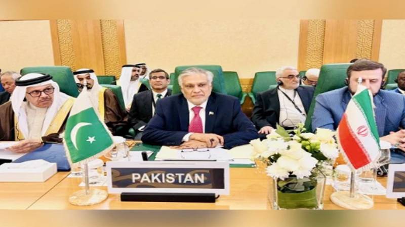 غزہ ملبے کا ڈھیر بن چکا مصر اور مریکا کی جنگ بندی کی کاوش امید کی کرن ہے، اسحاق ڈار