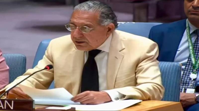 افغانستان کالعدم ٹی ٹی پی کے حملوں کی سرپرستی کر رہا ہے:منیر اکرم