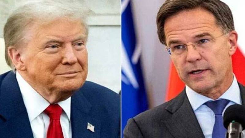ٹرمپ اور نیٹو کے سیکرٹری جنرل کی ملاقات، روس-یوکرین جنگ پر تبادلہ خیال
