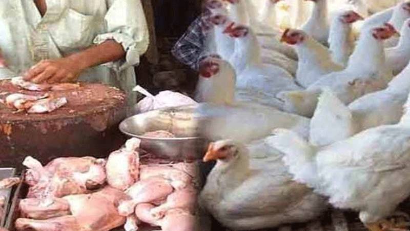 چکن کی قیمتوں میں مزید اضافہ، برائلر مرغی کی قیمتوں نے نیا ریکارڈ قائم کر دیا
