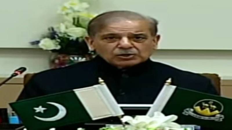 وزیراعظم سے امریکی ملٹی نیشنل آئی ٹی کمپنی کے وفد کی ملاقات، پاکستان میں سرمایہ کاری بڑھانے کی خواہش