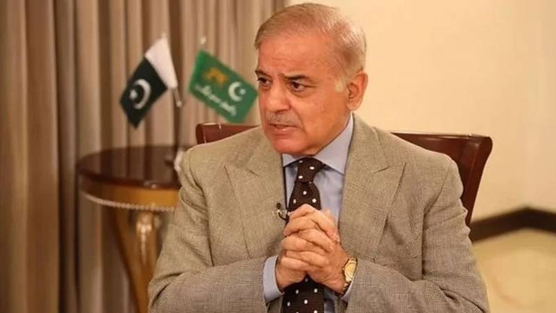 پنجاب میں ہیپاٹائٹس سی پروگرام کا دوبارہ آغاز: وزیراعظم شہباز شریف