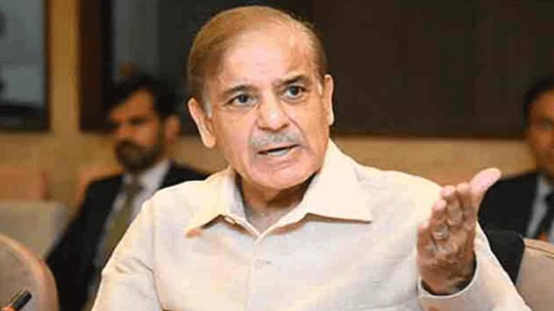 وزیراعظم شہباز شریف نے شجرکاری مہم کا آغاز کر دیا، 4 کروڑ پودے لگانے کا ہدف