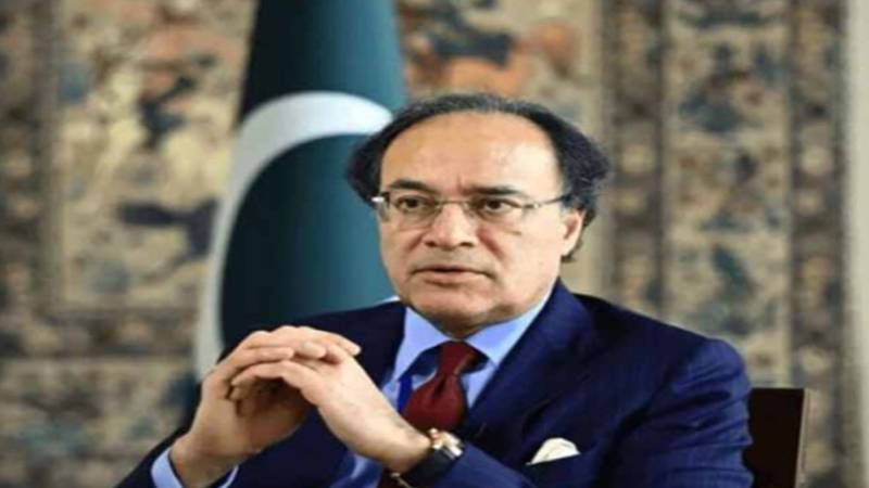 ماحولیاتی تبدیلیوں سے نمٹنے کے لیے عالمی تعاون ضروری ہے، وزیر خزانہ