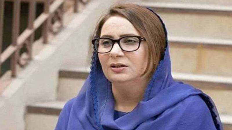 معیشت سے کاسمیٹکس کا لیپ اُتر جائے گا، مسرت جمشید چیمہ