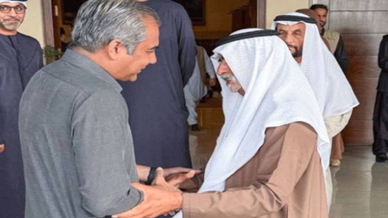 وفاقی وزیر داخلہ محسن نقوی سے اماراتی وزیر شیخ نیہان بن مبارک کی اہم ملاقات