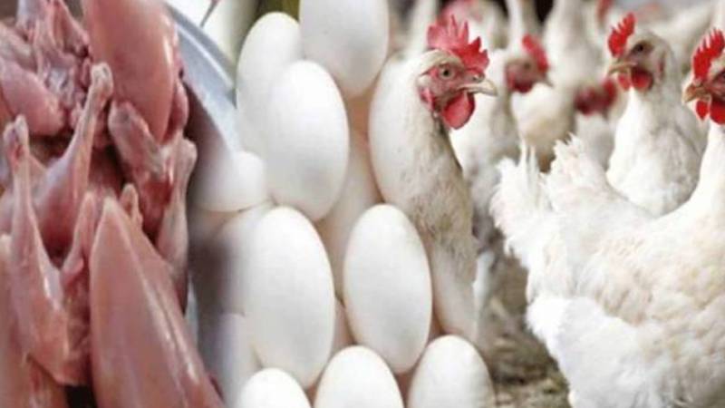 برائلر مرغی کے گوشت کی قیمتوں میں اضافہ جاری