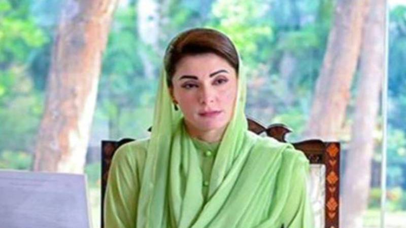 وزیر اعلیٰ مریم نواز کی صوبائی وزیر محنت فیصل ایوب سے ملاقات؛ ورکرز کی رجسٹریشن کا حکم