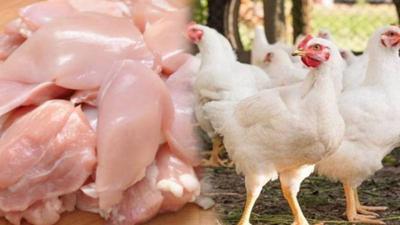 برائلر گوشت کی قیمتوں میں ہوشربا اضافہ، 1200 روپے فی کلو تک پہنچ گئی