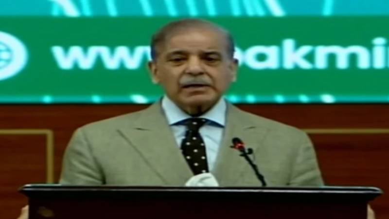 پاکستان معدنی ذخائر سے فائدہ اٹھا کر قرضوں کے چنگل سے آزاد ہو سکتا ہے، وزیراعظم شہباز شریف