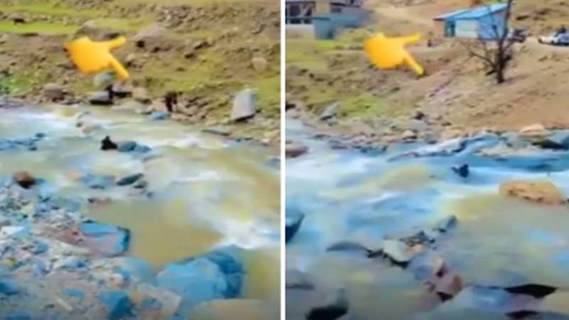 دیر: موٹر سائیکل سوار سیاح ندی میں بہہ گیا، سوشل میڈیا پر ویڈیو وائرل