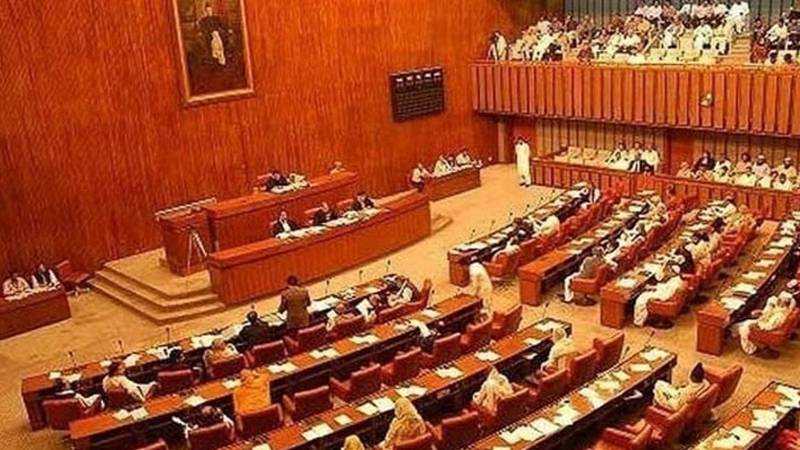 نجی سینیٹ ارکان کی کارکردگی رپورٹ: بلوں میں کمی، آرڈیننسز میں اضافہ