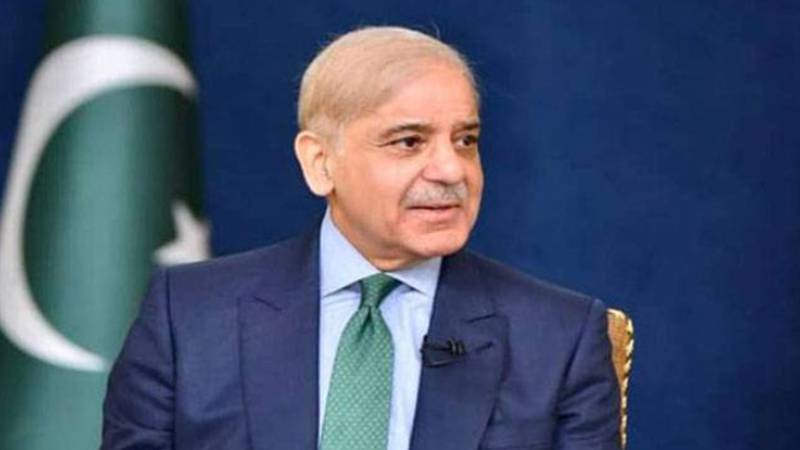کاشتکاروں کے لئے پیکج کا اعلان، وزیر اعلیٰ پنجاب کو خراج تحسین پیش کرتا ہوں:شہباز شریف 