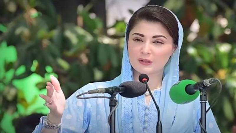 یورپی یونین پاکستان کا قابل اعتماد شراکت دار اور عالمی استحکام کی آواز ہے: مریم نواز