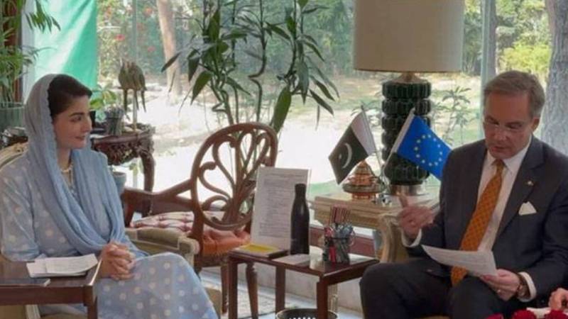 یورپی یونین قابل اعتماد شراکت دار ہے، تعلقات مزید مضبوط بنانا چاہتے ہیں: مریم نواز