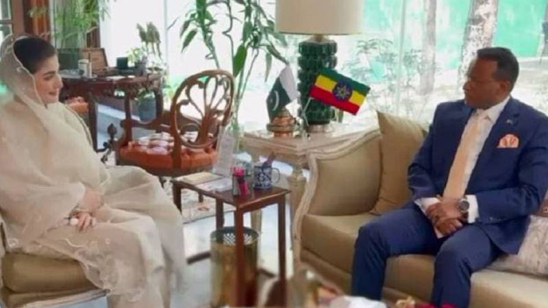 مریم نواز اور ایتھوپین سفیر کی ملاقات، دوطرفہ تعاون بڑھانے پر اتفاق