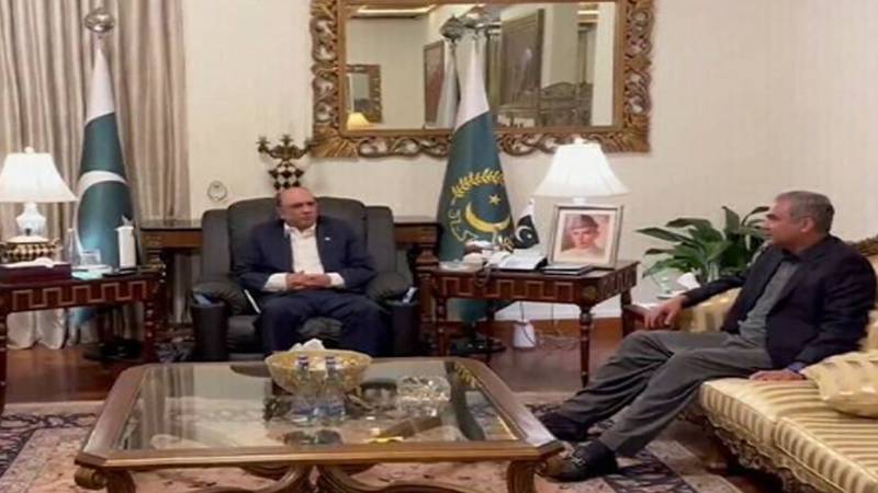 کراچی: وزیرداخلہ محسن نقوی کی صدر آصف زرداری سے ملاقات، بھارت کے غیر ذمہ دارانہ اقدامات پر بریفنگ