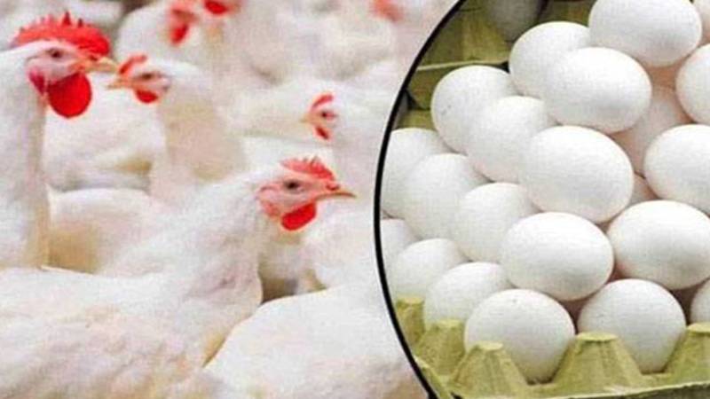 مرغی اور انڈوں کی قیمتوں میں مزید اضافہ: لاہور، ملتان اور فیصل آباد میں قیمتوں میں اضافہ